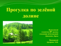 Прогулка по зелёной долине