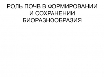 РОЛЬ ПОЧВ В ФОРМИРОВАНИИ И СОХРАНЕНИИ БИОРАЗНООБРАЗИЯ
