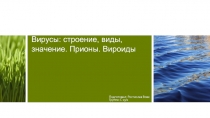 Вирусы: строение, виды, значение. Прионы. Вироиды