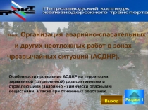 Тема: Организация аварийно-спасательных и других неотложных работ в зонах
