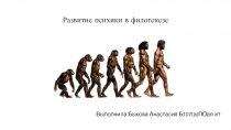 Развитие психики в филогенезе