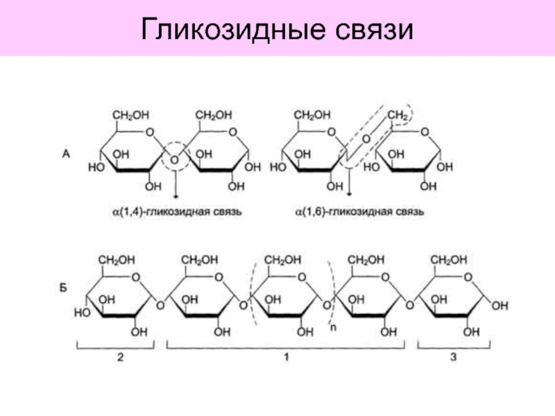 Альфа 1 2 3 4. Альфа 1 4 гликозидные связи. Α-1,6-гликозидные связи. Альфа бета 1,6 гликозидная связь. Бета 1 3 гликозидная связь.