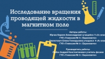 Исследование вращения проводящей жидкости в магнитном поле