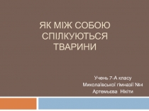 Як між собою спілкуються тварини