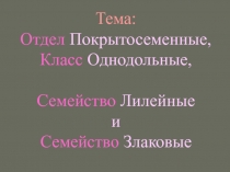 Тема: Отдел Покрытосеменные, Класс Однодольные, Семейство Лилейные и Семейство