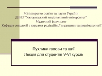 Міністерство освіти та науки України ДВНЗ “Ужгородський національний