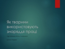Як тварини використовують знаряддя праці