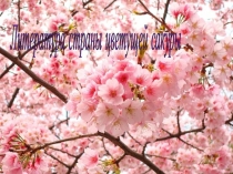 Литература страны цветущей сакуры
