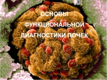 ОСНОВЫ ФУНКЦИОНАЛЬНОЙ ДИАГНОСТИКИ ПОЧЕК