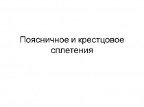 Поясничное и крестцовое сплетения