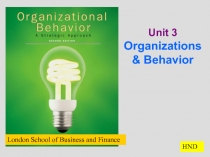 Unit 3 Organizations & Behavior