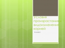 Условия произрастания и видоизменения корней