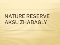 nature reserve AKSU Zhabagly