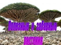 Полезные и забавные
растения