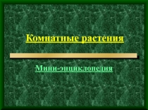 Комнатные растения