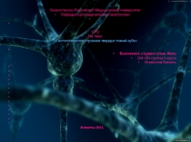 Казахстанско-Российский Медицинский Университет
Кафедра ортопедической