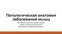 Патологическая анатомия заболеваний мышц