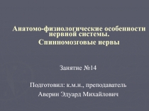 Анатомо-физиологические особенности нервной системы. Спинномозговые нервы