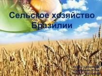 Сельское хозяйство
Бразилии
Работу выполнила
Юдайханова Юлия
Ученица 11В класса