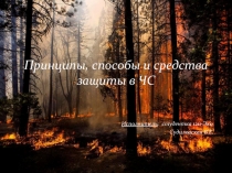 Принципы, способы и средства защиты в ЧС
