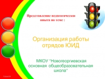 Представление педагогического опыта по теме :