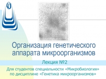 Организация генетического аппарата микроорганизмов