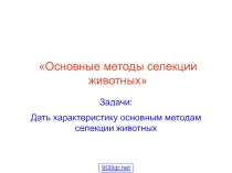 Основные методы селекции животных
Задачи:
Дать характеристику основным
