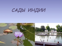 САДЫ ИНДИИ