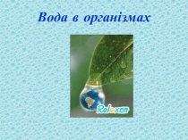 Вода в організмах