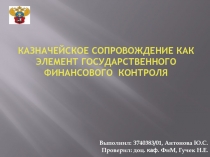 Казначейское сопровождение как элемент государственного финансового контроля