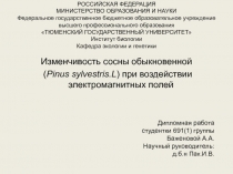 РОССИЙСКАЯ ФЕДЕРАЦИЯ МИНИСТЕРСТВО ОБРАЗОВАНИЯ И НАУКИ Федеральное