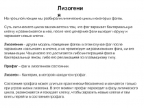 Лизогения
На прошлой лекции мы разбирали литические циклы некоторых фагов.
Суть