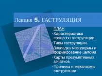 Лекция 5. ГАСТРУЛЯЦИЯ