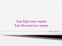Тип Круглые черви Тип Кольчатые черви