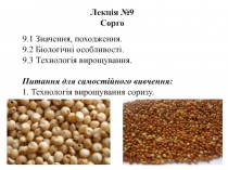 Лекція № 9
Сорго
9.1 Значення, походження.
9.2 Біологічні особливості.
9.3