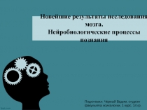 Новейшие результаты исследования мозга. Нейробиологические процессы познания