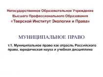 Негосударственное Образовательное Учреждение Высшего Профессионального