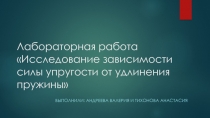 Лабораторная работа Исследование зависимости силы упругости от удлинения