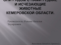 Они рядом с нами редкие и исчезающие ЖИВОТНЫЕ Кемеровской области