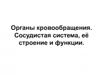 Органы кровообращения. Сосудистая система, её строение и функции