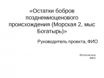 Остатки бобров позднемиоценового происхождения (Морская 2, мыс Богатырь)