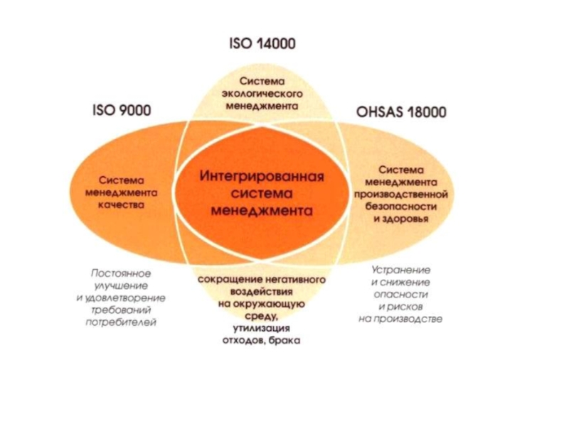 Интеграционный подход в управлении проектами