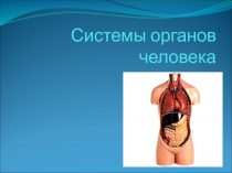Системы органов человека