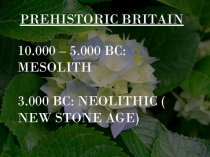 PREHISTORIC BRITAIN
10.000 – 5.000 BC: MESOLITH
3.000 BC: NEOLITHIC ( NEW STONE