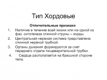 Тип Хордовые