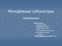 Молодёжные субкультуры