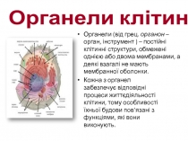 Органели клітини