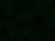 Презентация Fantasy Fest