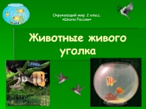 Животные живого уголка