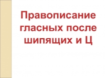 Правописание гласных после шипящих и Ц